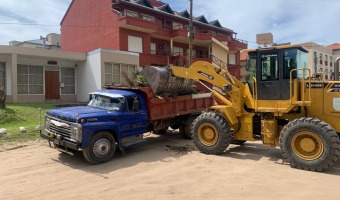 CORRALN: TRABAJOS DE RECOLECCIN DE PODA EN EL SUR DEL CENTRO Y BARRIO NORTE